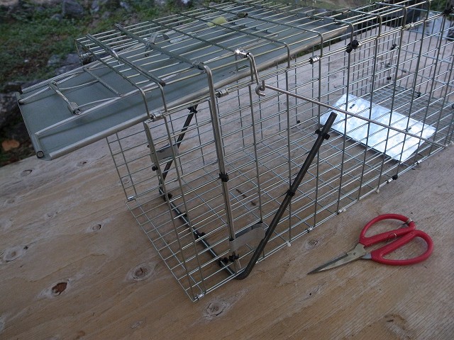R0053830.jpg